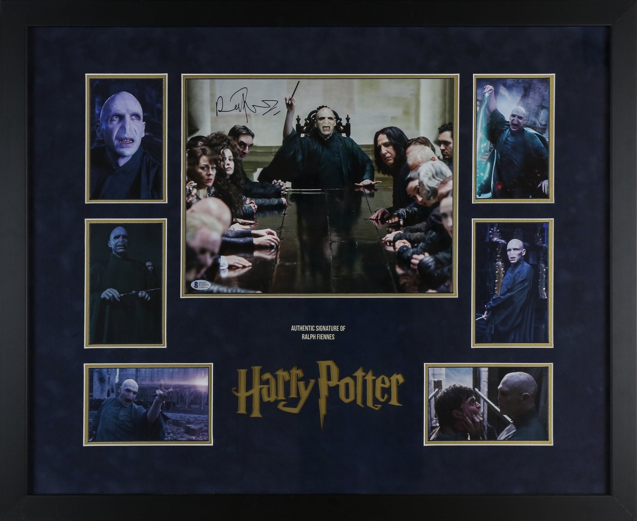 Ralph Fiennes, Harry Potter Signed 12x16 Photograph Framed Display - Memorabilia Framers Shop